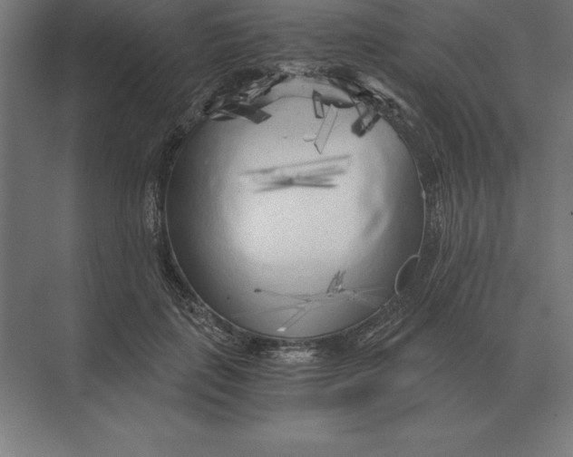 X0000073980651200609111809