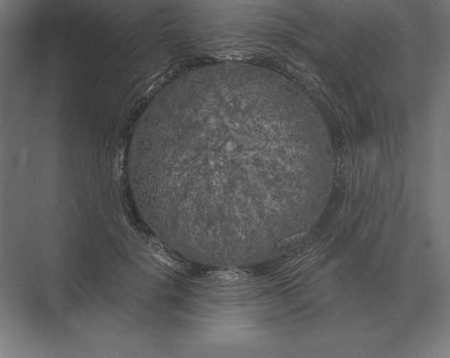 X0000073980652200609111809