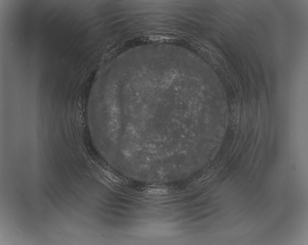 X0000073980653200609111809