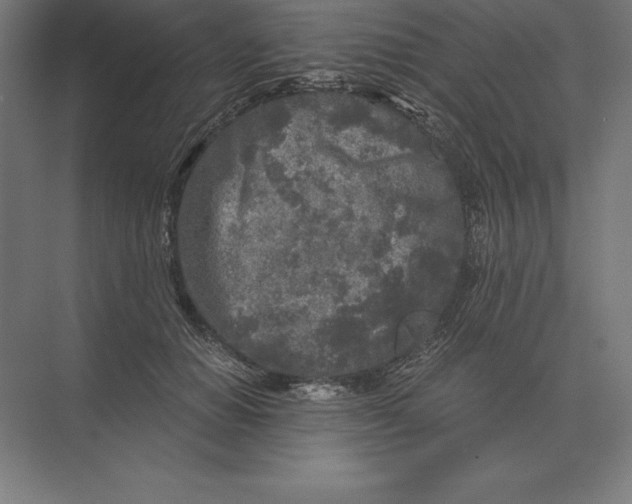 X0000073980654200609111809