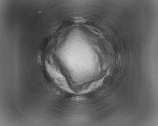 X0000073980655200609111809