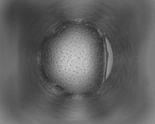 X0000073980656200609111809