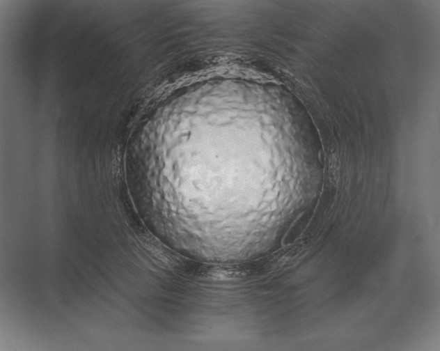 X0000073980657200609111809