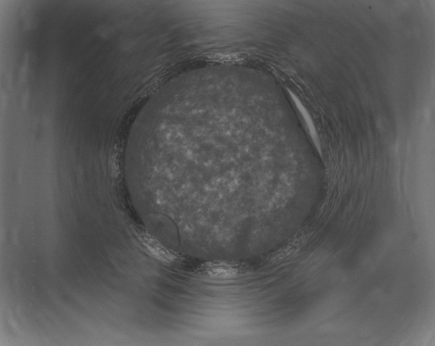 X0000073980658200609111809