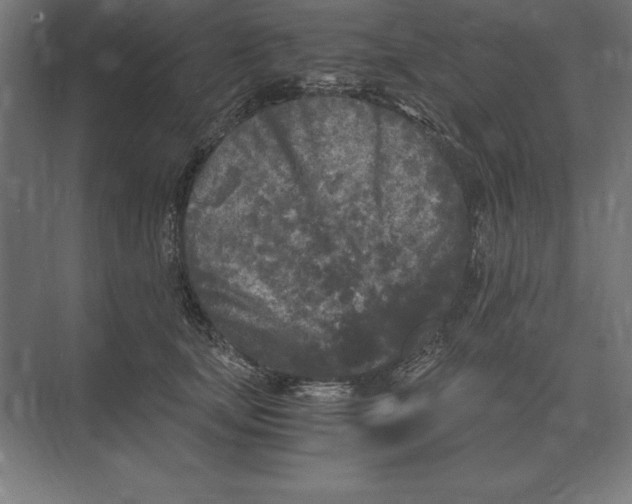 X0000073980659200609111809