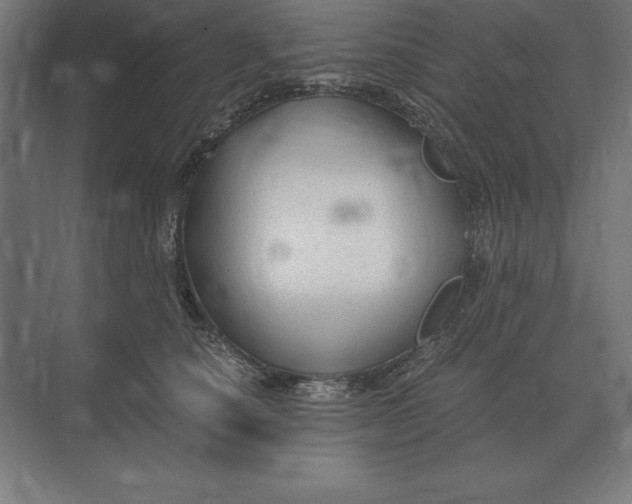 X0000073980660200609111809