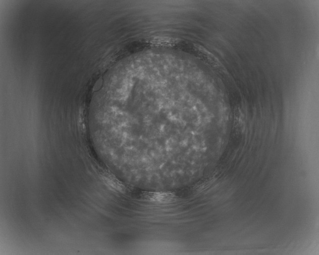 X0000073980663200609111809