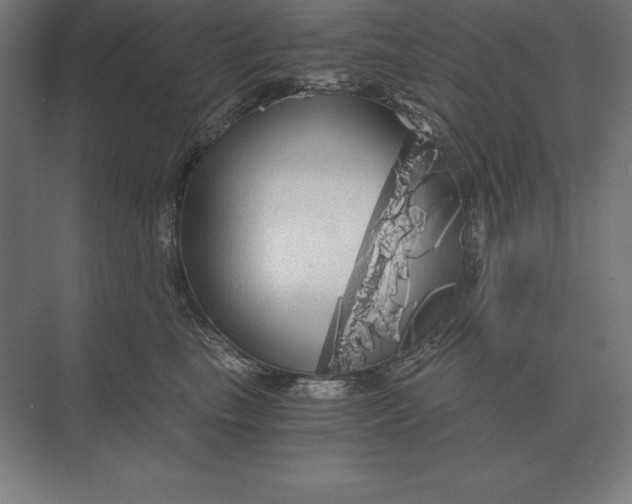 X0000073980665200609111809