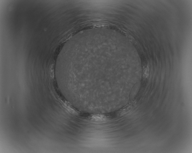 X0000073980666200609111809