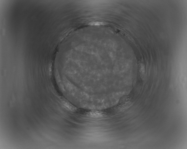 X0000073980668200609111809