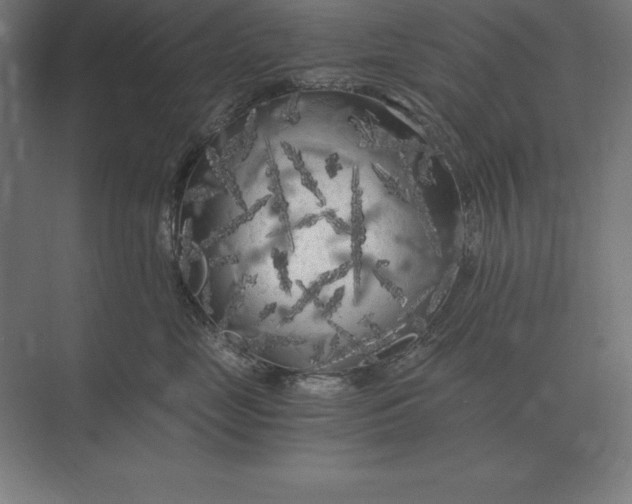 X0000073980669200609111809