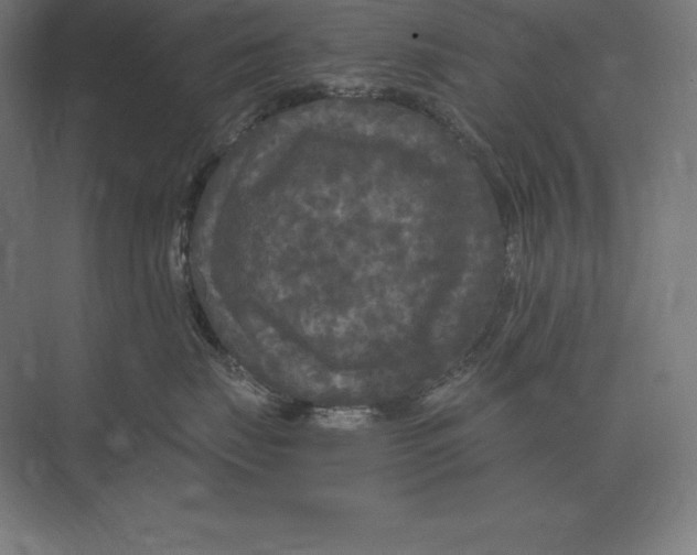 X0000073980671200609111809