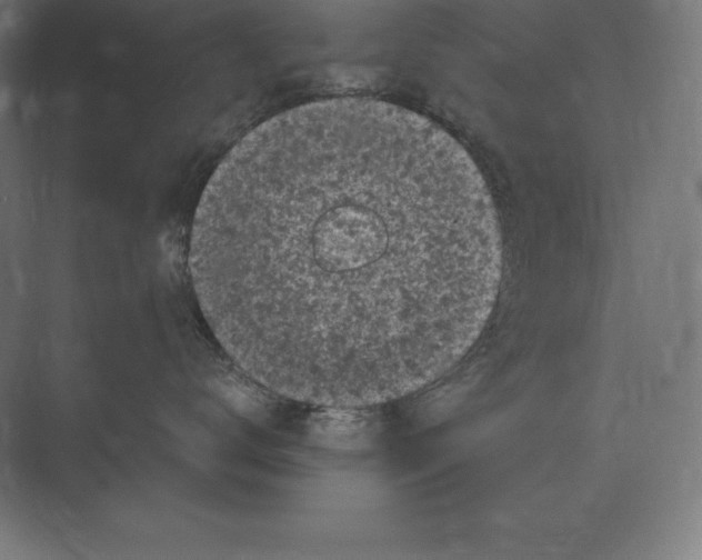 X0000073980672200609111809