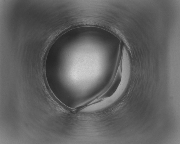 X0000073980673200609111808