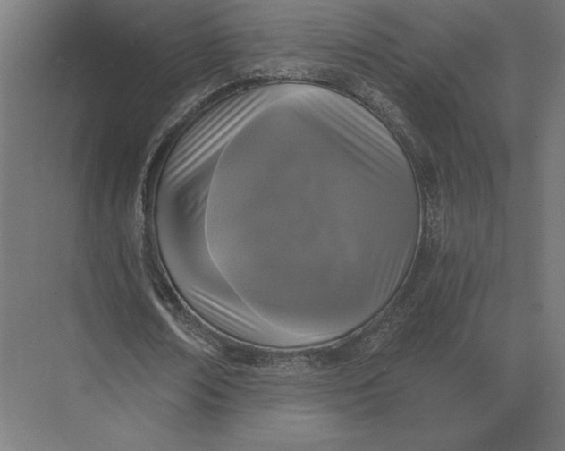 X0000073980674200609111808