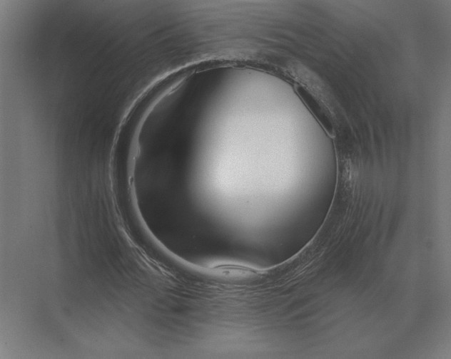 X0000073980676200609111808