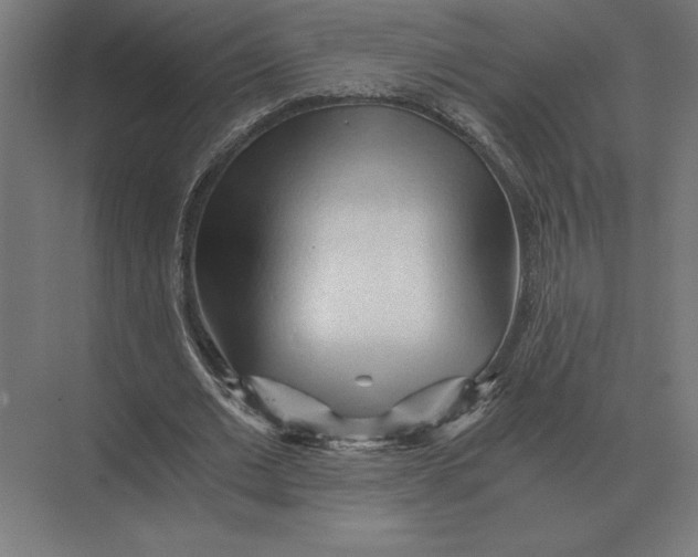 X0000073980677200609111808