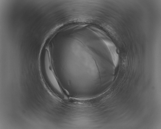 X0000073980678200609111808