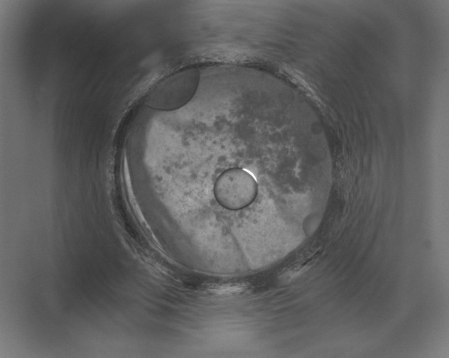 X0000073980679200609111808