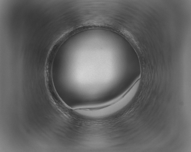 X0000073980680200609111808