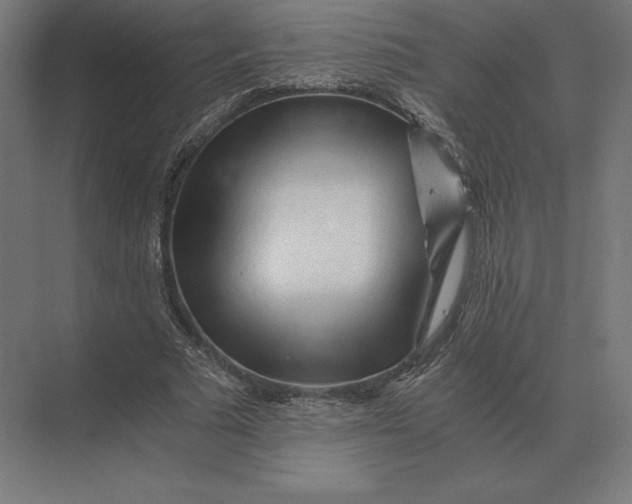 X0000073980681200609111808