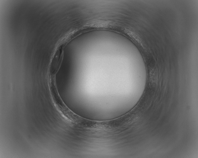 X0000073980682200609111808