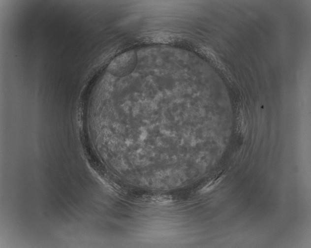 X0000073980683200609111808