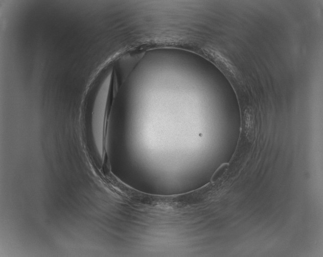 X0000073980684200609111808