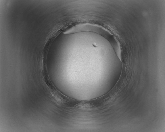 X0000073980685200609111808