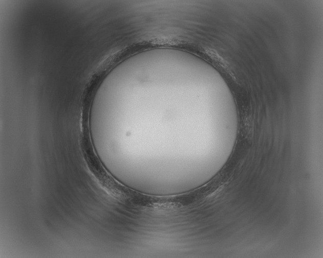 X0000073980686200609111808