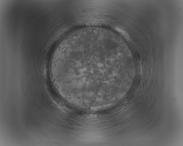 X0000073980687200609111808