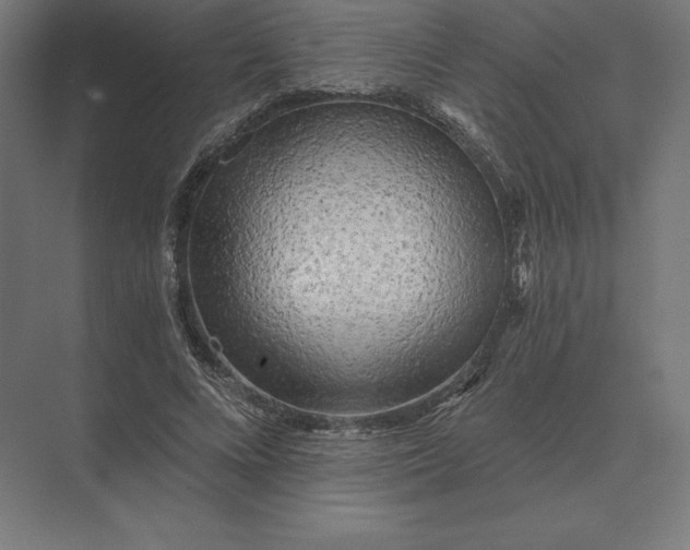 X0000073980688200609111808