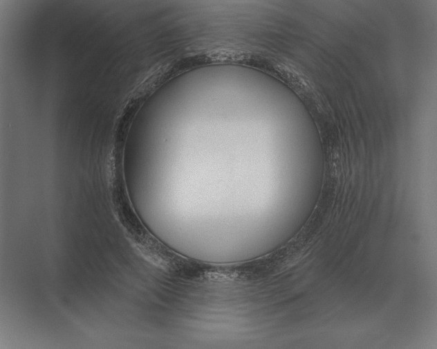 X0000073980690200609111808