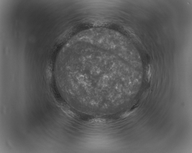 X0000073980691200609111808