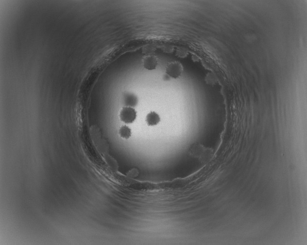 X0000073980692200609111808