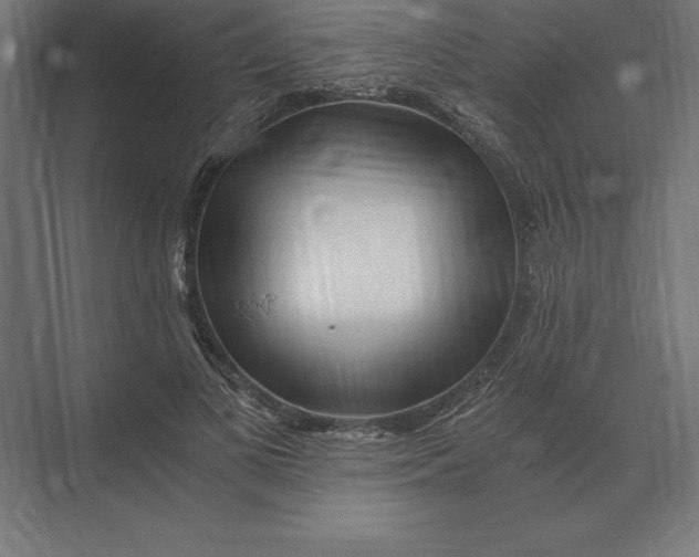 X0000073980693200609111808