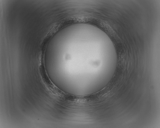 X0000073980694200609111808