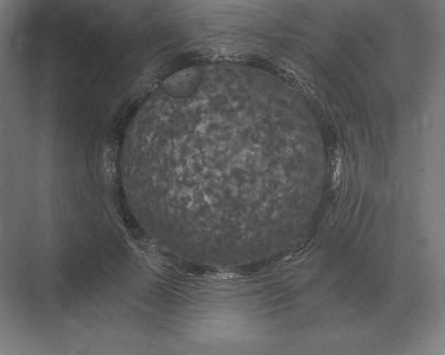 X0000073980695200609111808