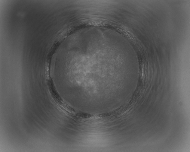 X0000073980696200609111808