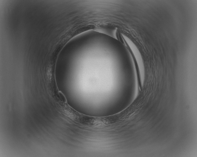 X0000073980697200609111808