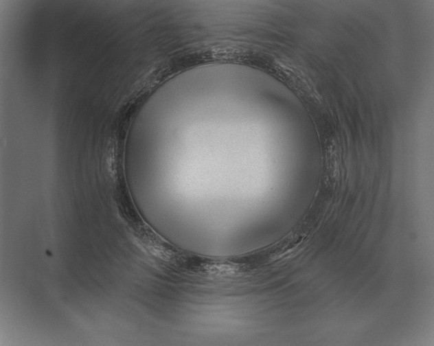 X0000073980698200609111808