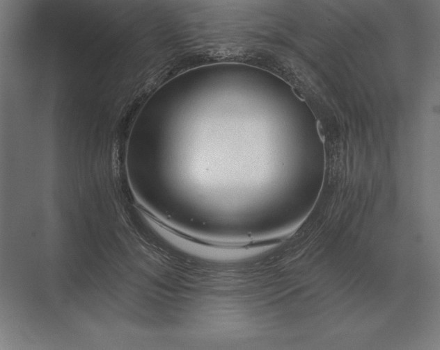 X0000073980700200609111808