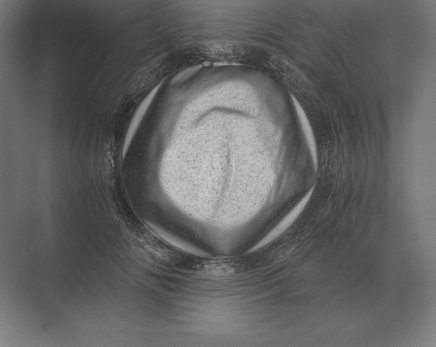 X0000073980702200609111808