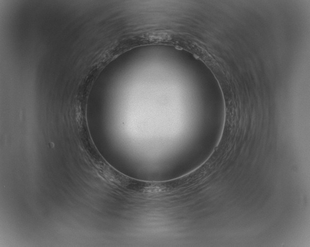 X0000073980704200609111808