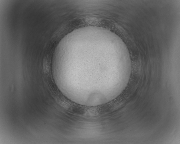 X0000073980705200609111808