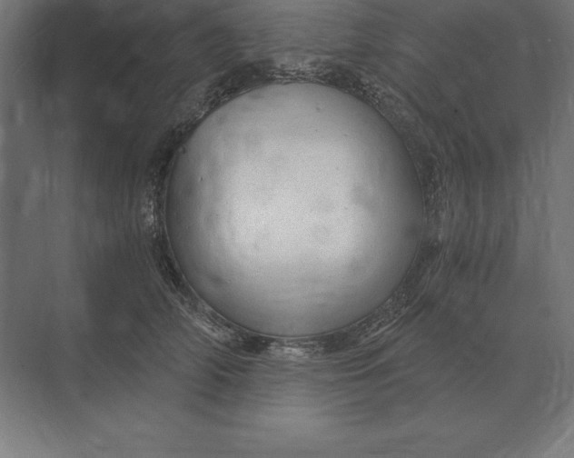 X0000073980706200609111808