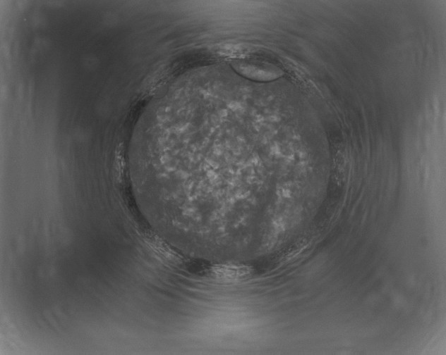 X0000073980707200609111808