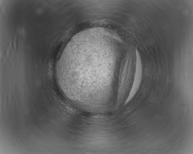 X0000073980708200609111808