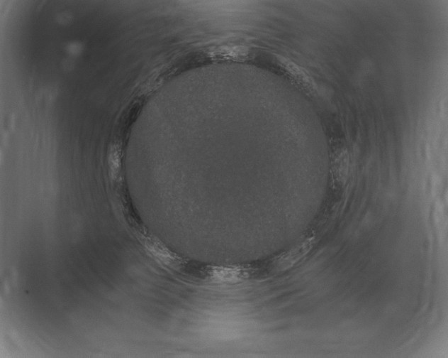 X0000073980709200609111808