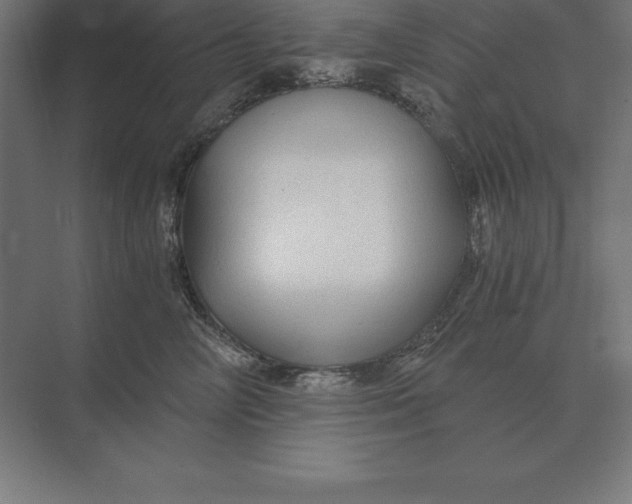 X0000073980714200609111808